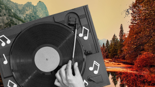 Платівки для осіннього настрою: саундтрек до листопада