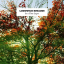 Ludovico Einaudi &ndash; In A Time Lapse - фото 1