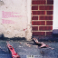Amy Winehouse &ndash; Frank  - фото 2