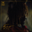 Thundercat &ndash; It Is What It Is - фото 1