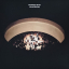 Nils Frahm – Tripping With Nils Frahm - фото 1 Nils Frahm – Tripping With Nils Frahm - фото 1