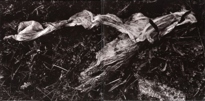 Sylvian, Czukay – Plight & Premonition / Flux & Mutability - фото 3 Sylvian, Czukay – Plight & Premonition / Flux & Mutability - фото 3