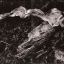 Sylvian, Czukay – Plight & Premonition / Flux & Mutability - фото 3 Sylvian, Czukay – Plight & Premonition / Flux & Mutability - фото 3