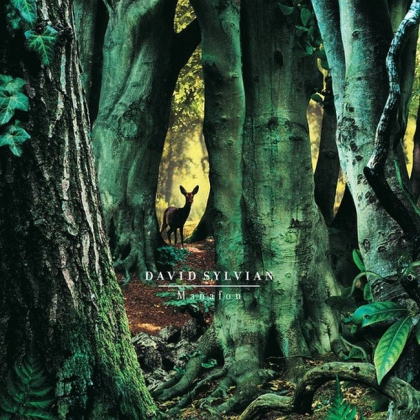 David Sylvian &ndash; Manafon - фото 1