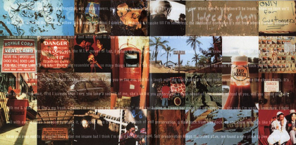 Tricky &ndash; Maxinquaye - фото 3