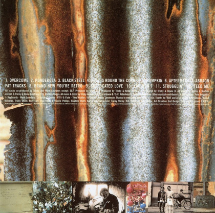 Tricky &ndash; Maxinquaye - фото 5