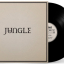 Jungle &ndash; Loving In Stereo - фото 3
