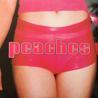 Peaches – The Teaches Of Peaches Peaches – The Teaches Of Peaches
