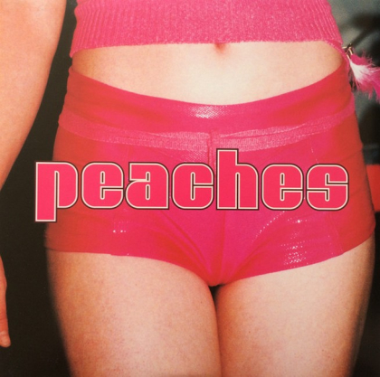 Peaches – The Teaches Of Peaches - фото 1 Peaches – The Teaches Of Peaches - фото 1