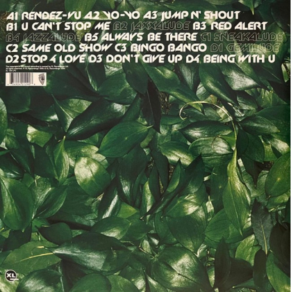 Basement Jaxx &ndash; Remedy - фото 2