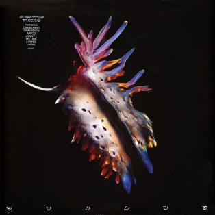 Sub Focus – Evolve