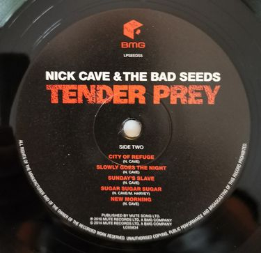 Nick Cave and the Bad Seeds - Tender Pray - фото 4