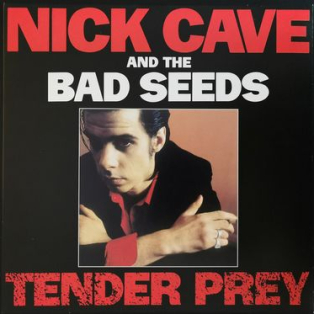 Nick Cave and the Bad Seeds - Tender Pray