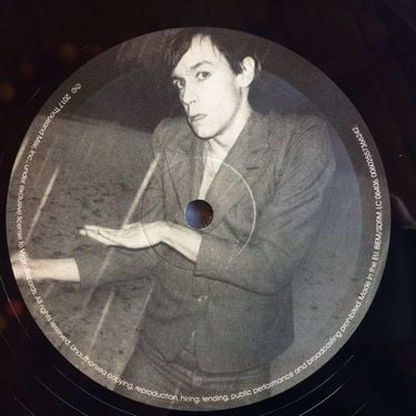 Iggy Pop - The Idiot - фото 3