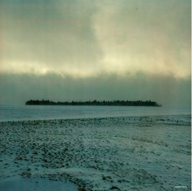 Mark Knopfler - Down The Road Wherever - фото 6