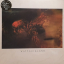 Cocteau Twins - Victorialand - фото 1