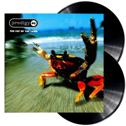 Prodigy &ndash; The Fat Of The Land - фото 3