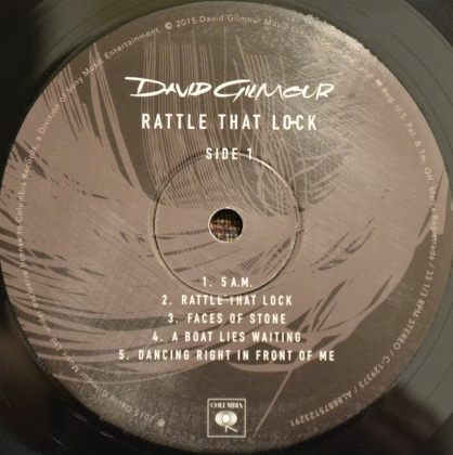 David Gilmour &ndash; Rattle That Lock - фото 4