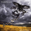 David Gilmour &ndash; Rattle That Lock - фото 1
