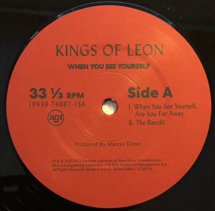 Kings Of Leon &ndash; When You See Yourself - фото 3