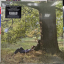 John Lennon / Plastic Ono Band &ndash; John Lennon / Plastic Ono Band - фото 1