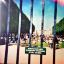 Tame Impala &ndash; Lonerism - фото 1