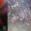 Cocteau Twins &ndash; Tiny Dynamine / Echoes In A Shallow Bay - фото 1