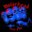 Motorhead &ndash; Iron Fist - фото 1
