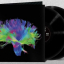 Muse &ndash; The 2nd Law - фото 3