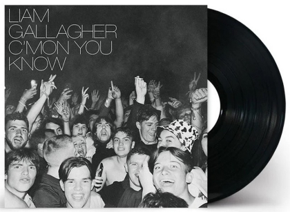 Liam Gallagher &ndash; C&rsquo;mon You Know - фото 3