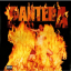 Pantera &ndash; Reinventing The Steel - фото 1