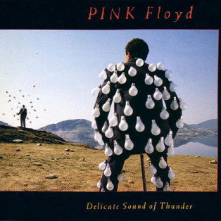 Pink Floyd – Delicate Sound Of Thunder
