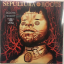 Sepultura &ndash; Roots - фото 1