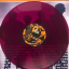 Inspiral Carpets &ndash; The Beast Inside - фото 5