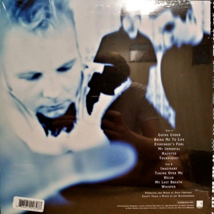 Evanescence &ndash; Fallen - фото 2