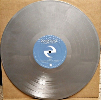 Evanescence &ndash; Fallen - фото 3