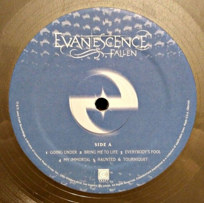 Evanescence &ndash; Fallen - фото 4