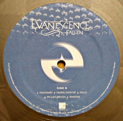 Evanescence &ndash; Fallen - фото 5