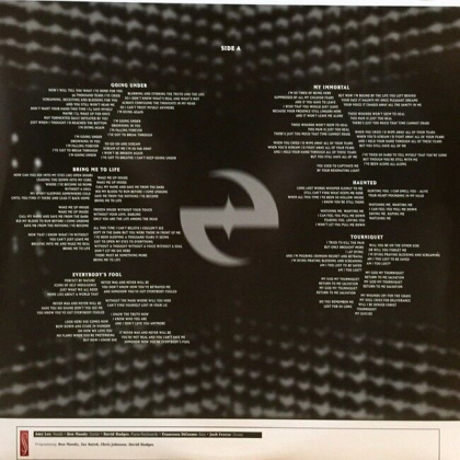 Evanescence &ndash; Fallen - фото 6