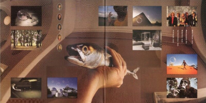 Helloween &ndash; Pink Bubbles Go Ape - фото 5