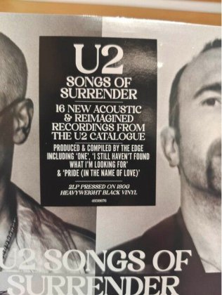 U2 &ndash; Songs Of Surrender - фото 3