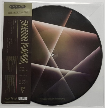 The Smashing Pumpkins &ndash; Shiny And Oh So Bright - Vol.1 / LP - No Past, No Future, No Sun - фото 1