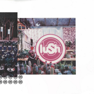 Lush – Lovelife
