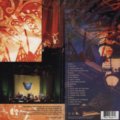 Foo Fighters &ndash; Skin And Bones - фото 2