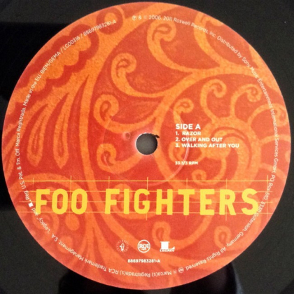 Foo Fighters &ndash; Skin And Bones - фото 3
