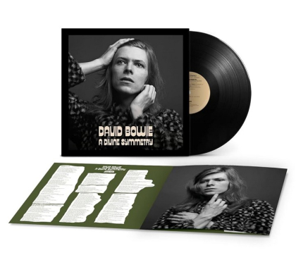 David Bowie &ndash; A Divine Symmetry - фото 3