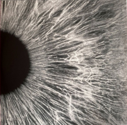 Peter Gabriel &ndash; I/O - фото 3
