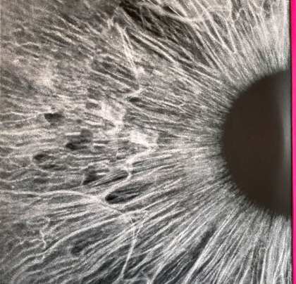 Peter Gabriel &ndash; I/O - фото 2