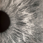 Peter Gabriel &ndash; I/O - фото 3