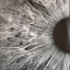 Peter Gabriel &ndash; I/O - фото 2